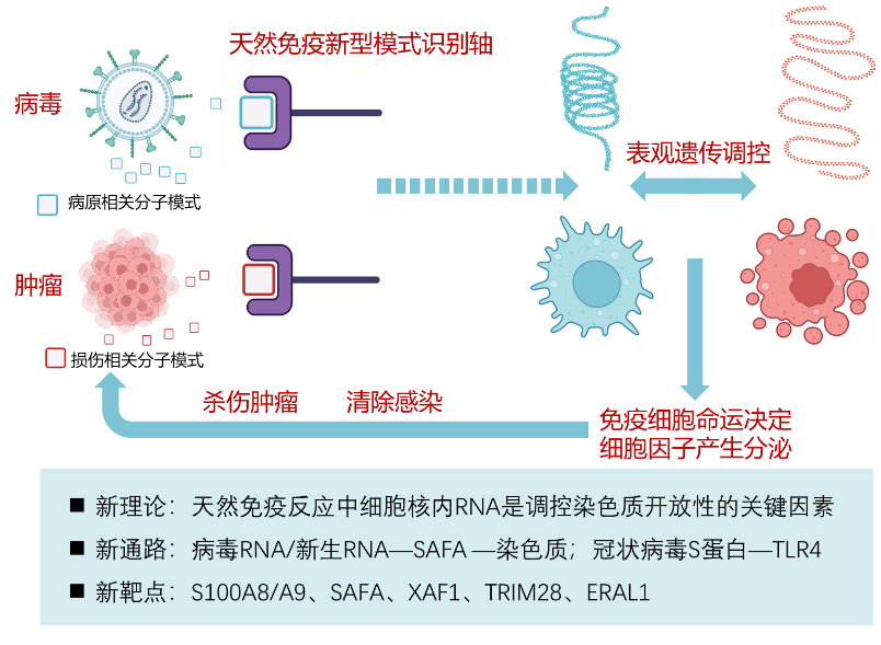 image9.png