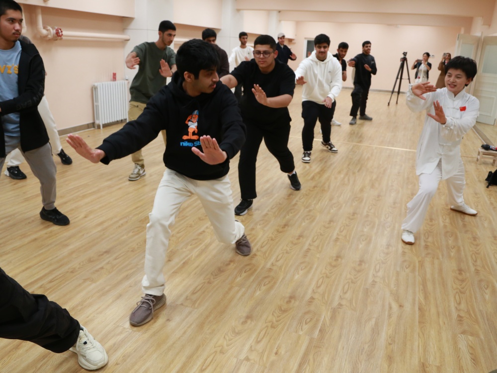 代表团男生体验太极运动-2_1.JPG
