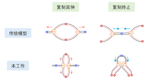 图3-胡家志.png
