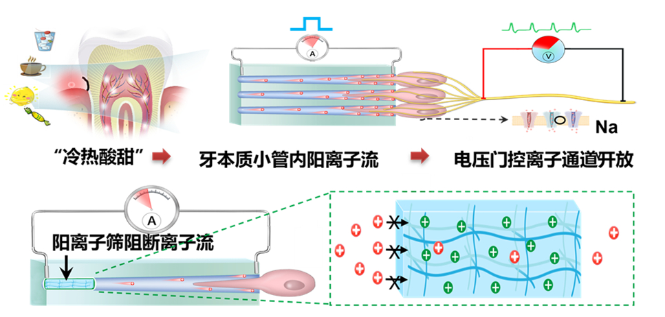 2 原理图_副本修改后.jpg