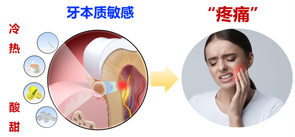1 科普图_副本修改后.png