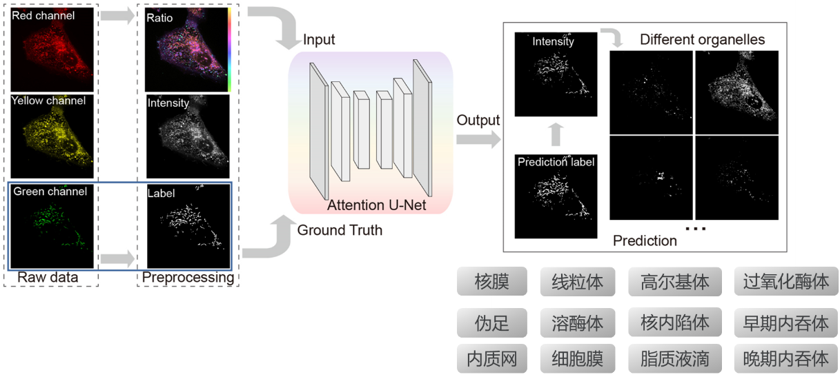 image4.png