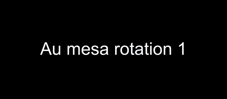 image2.GIF