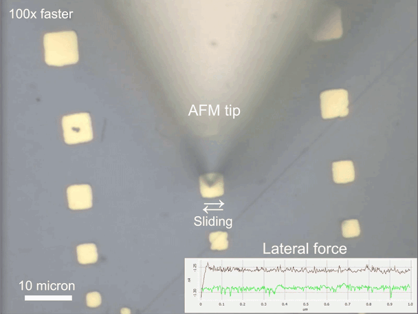 image4.GIF
