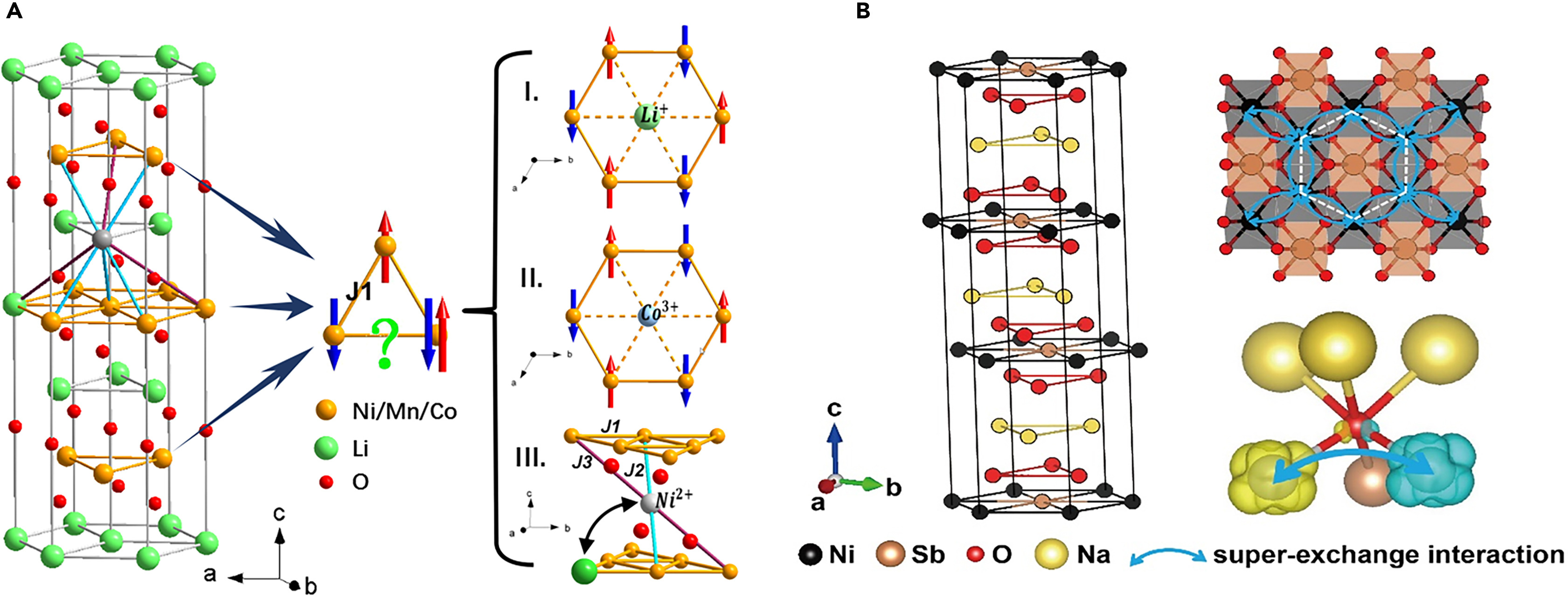 image2.jpeg