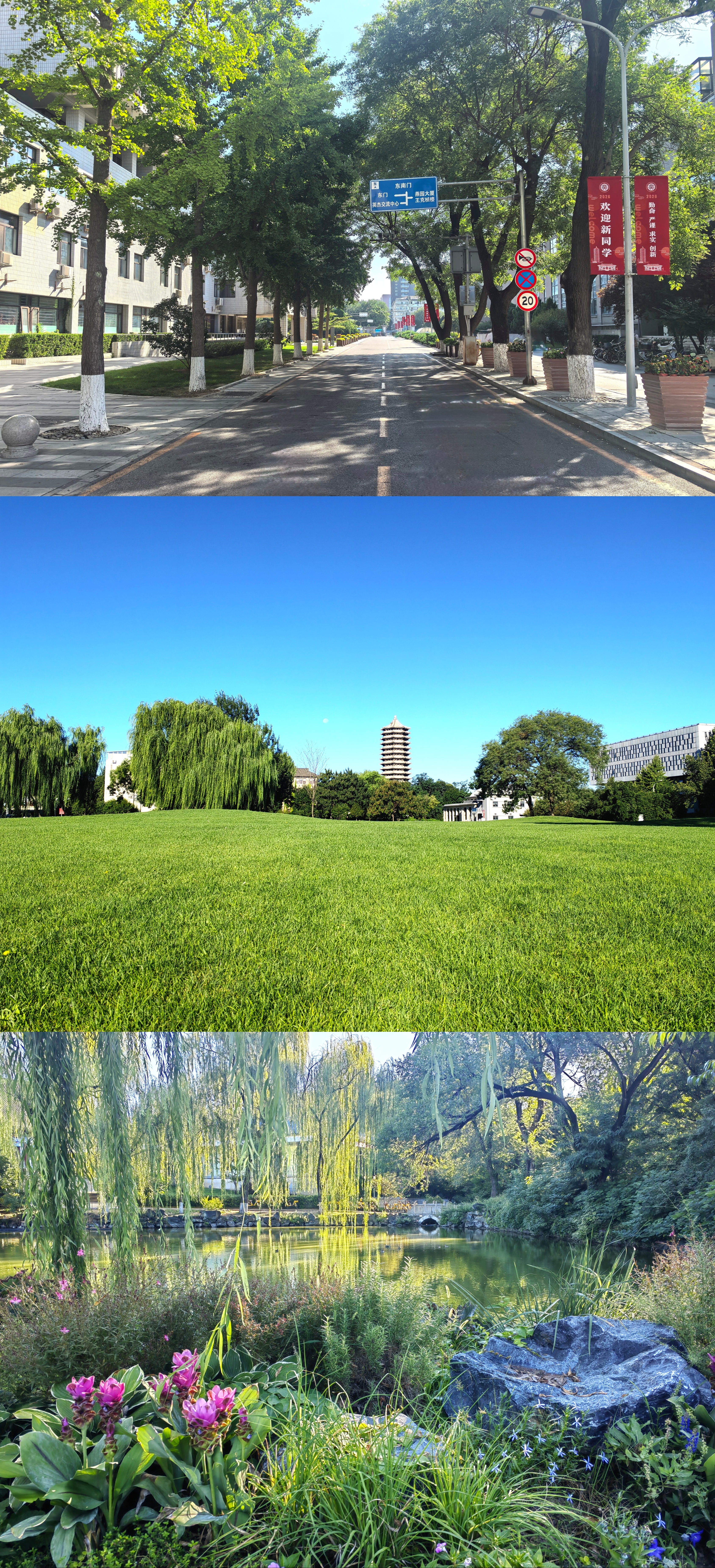 MEITU_20260905_103611801.jpg