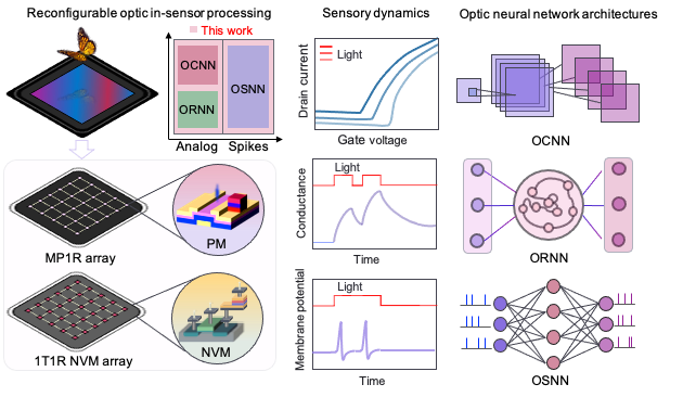 image1.png