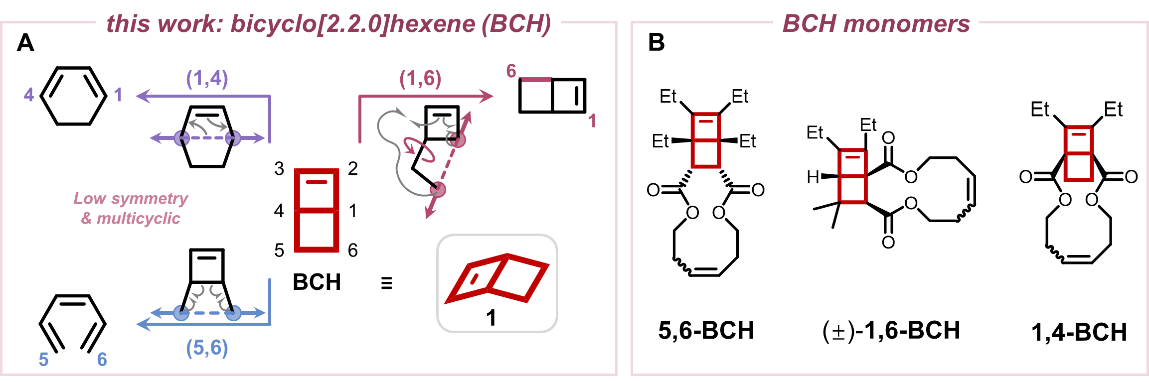 image2.png
