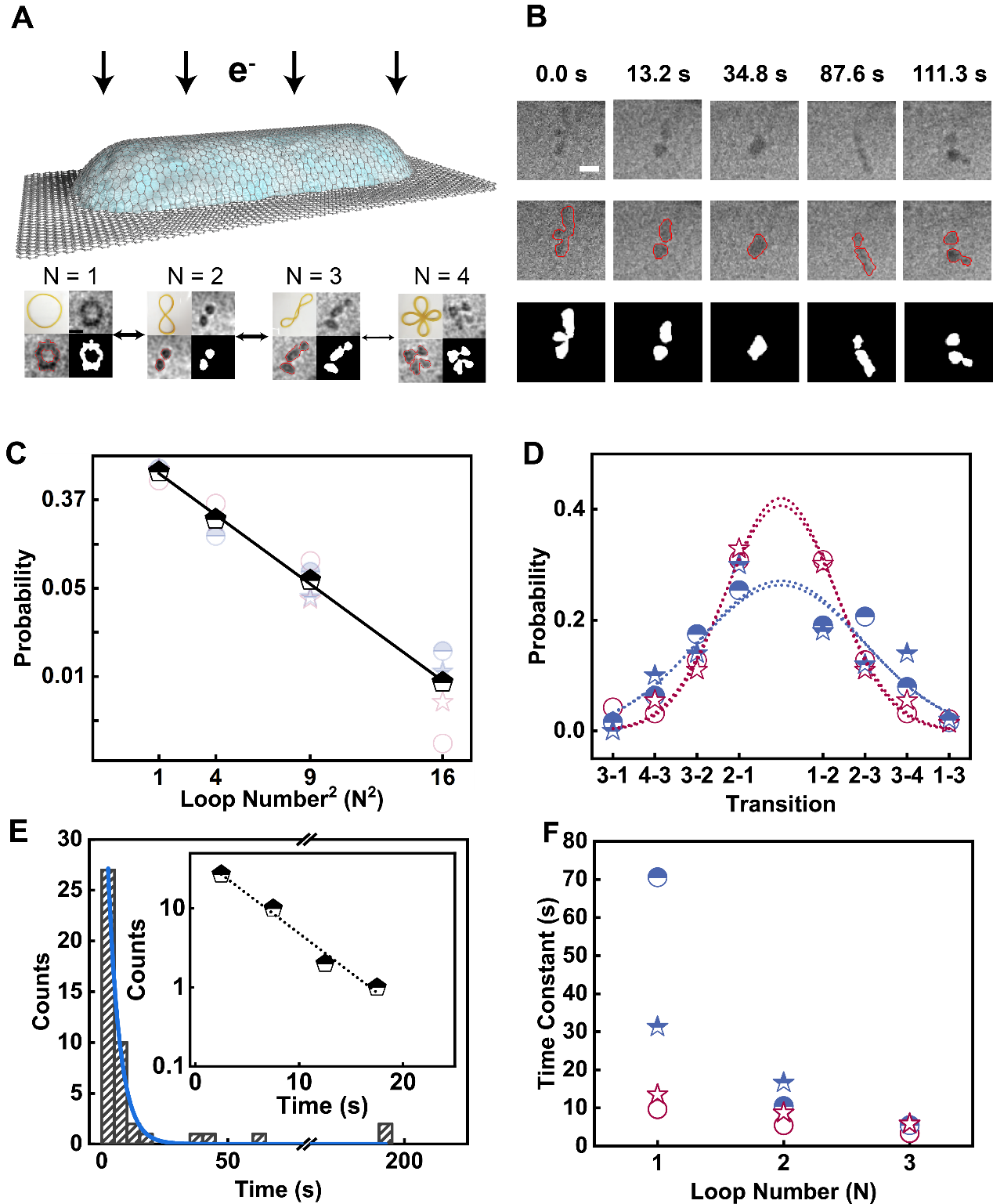 image1.png image1.png