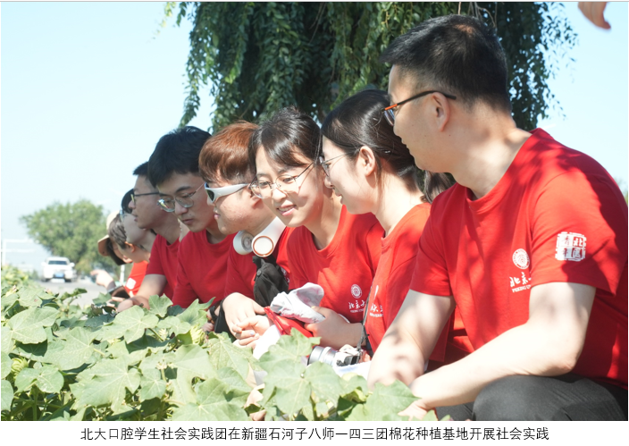 北大口腔学生社会实践团在新疆石河子八师一四三团棉花种植基地开展社会实践-加图注.png