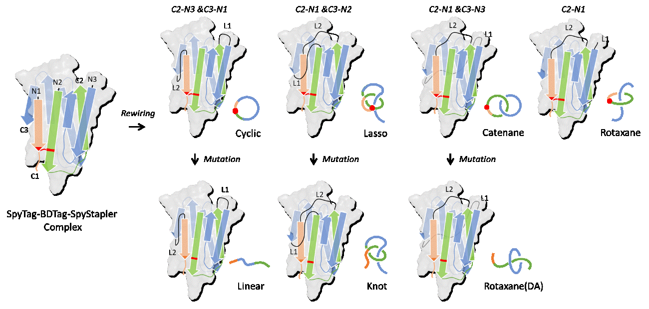 1.gif