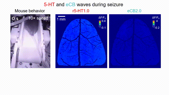 image6.gif