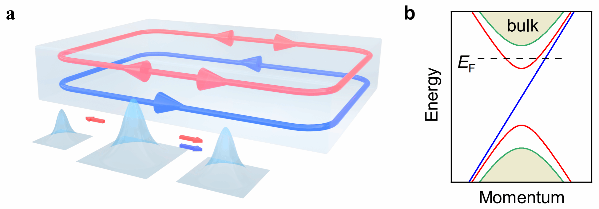 image1.png