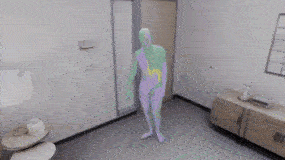 diverse_motion.gif