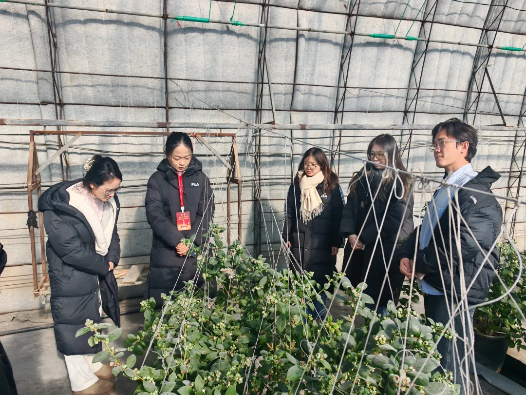 4+君桦生态果业种植大棚.png