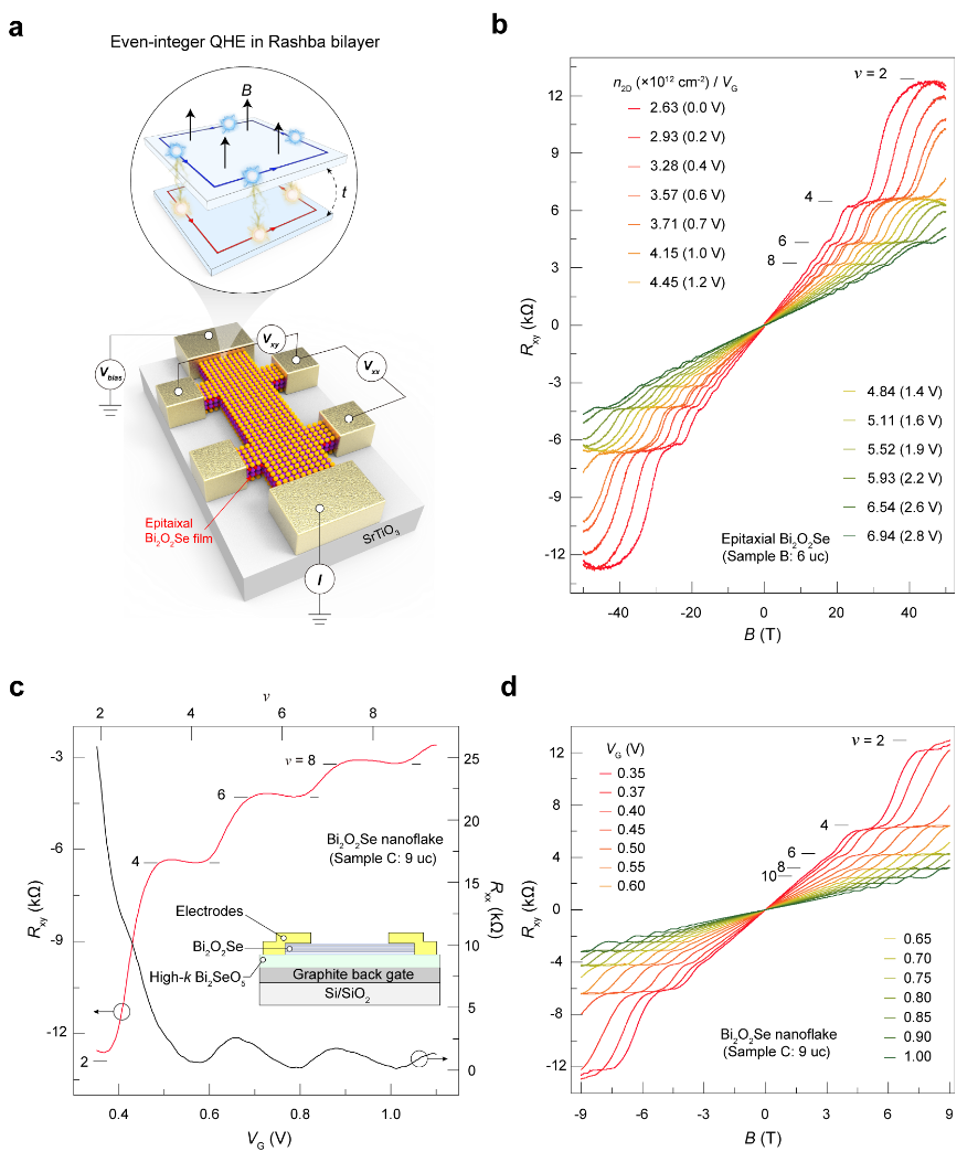 image4.png