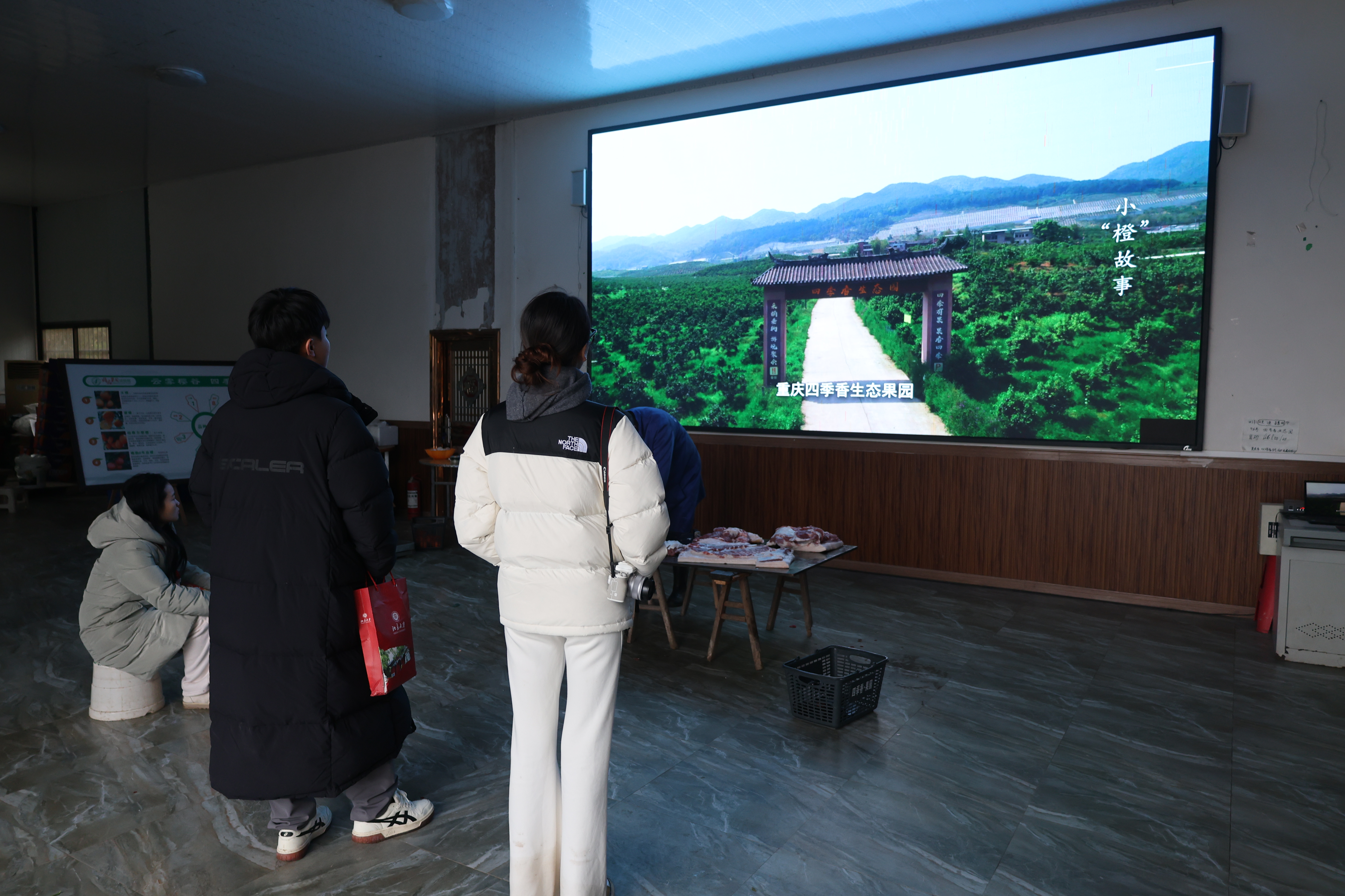 8+实践团在橘为公司云雾知樱种植基地调研.JPG
