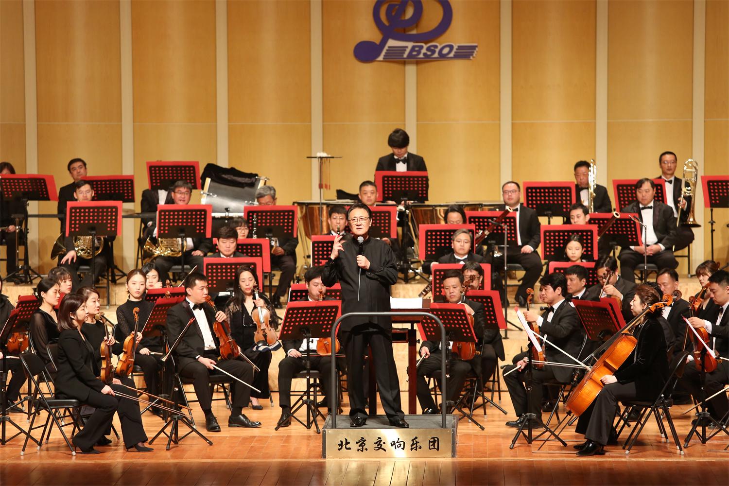 SH261320.jpg