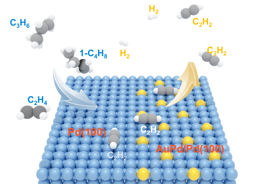 image1.png