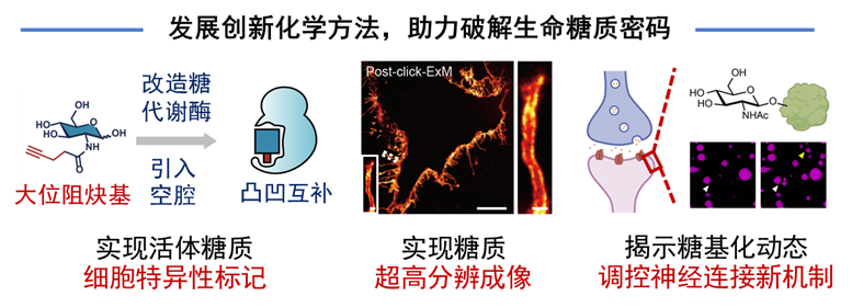 050a42543d82420f8d1d27a10bcf8f0b.png 050a42543d82420f8d1d27a10bcf8f0b.png