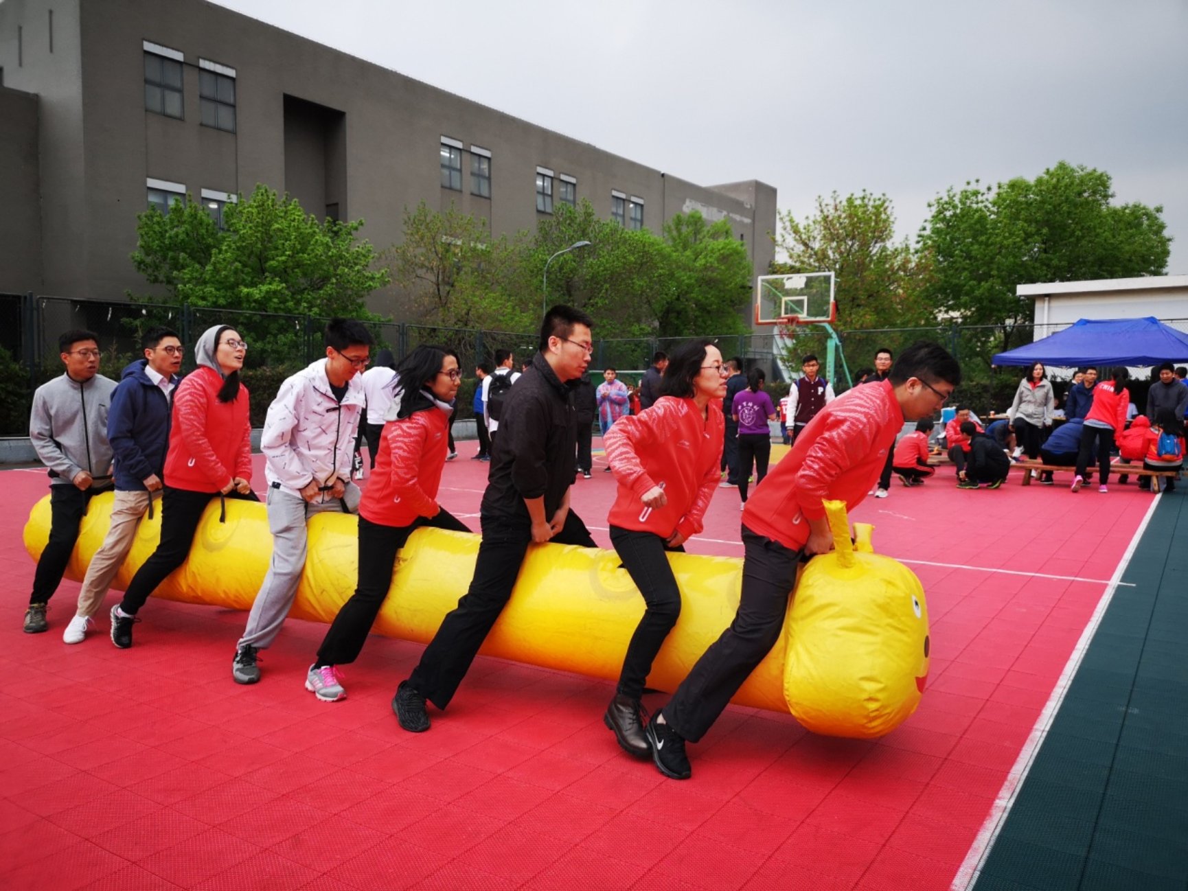 C:\Users\107\AppData\Local\Temp\WeChat Files\1b3ae8f48596a74b59a0faa667fd203.jpg