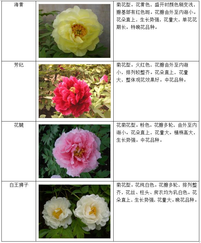 019fa94797194db2bae643cedf29dc68.jpg 5.jpg