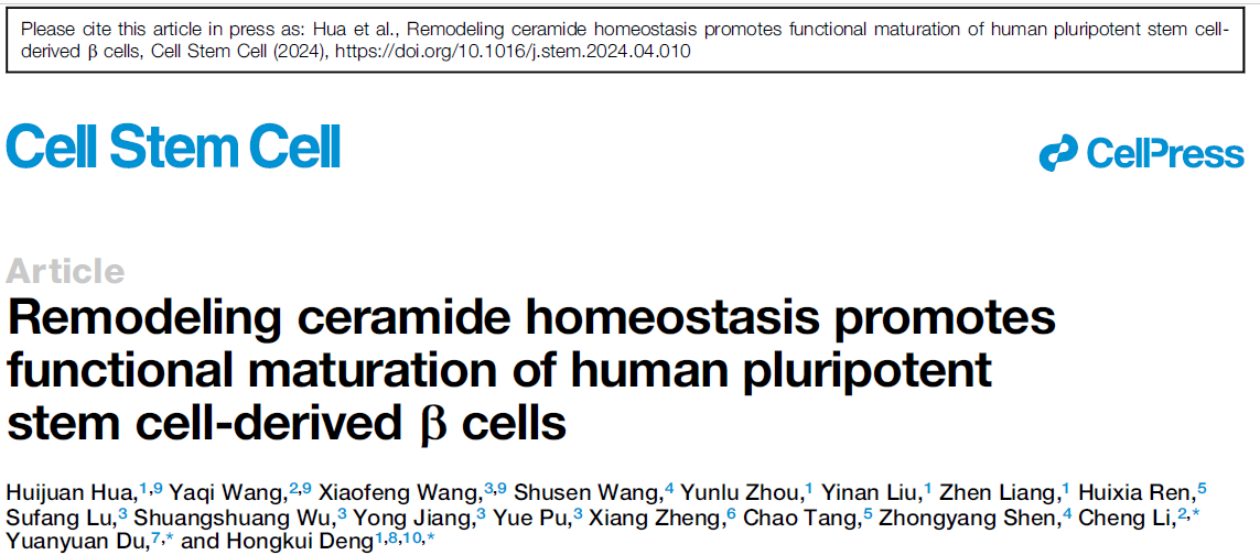 image1.png