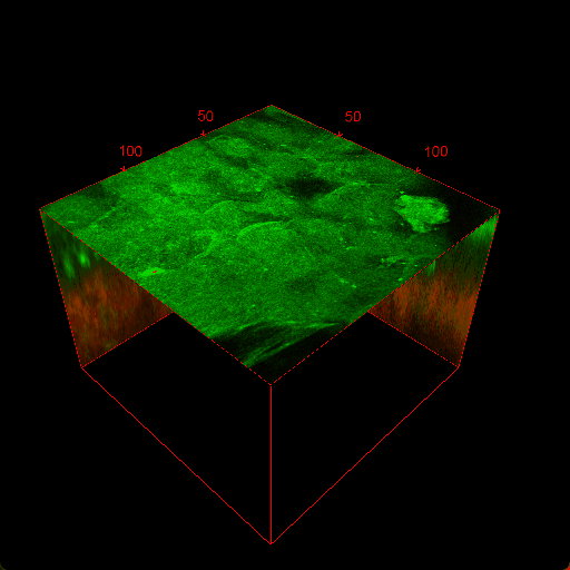 23947e89383f456d9cc66f757680bf0a.gif 3.gif