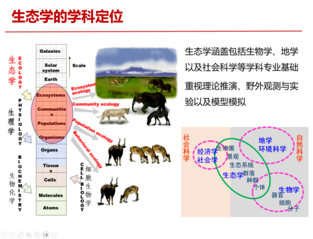 image3.png
