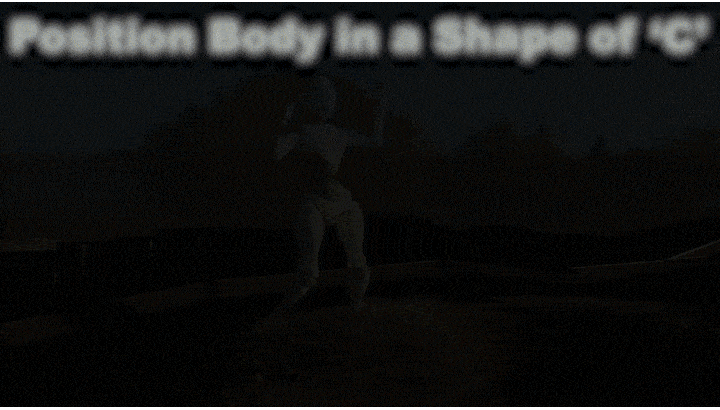 image12.gif