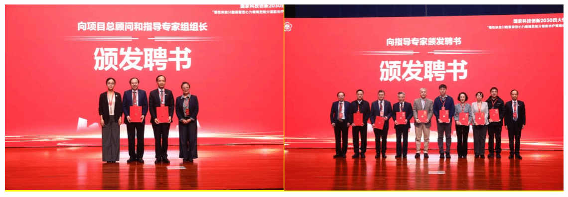 image2.png image2.png