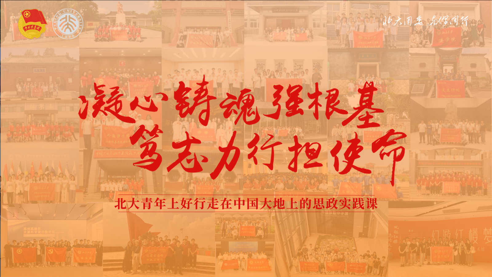 社会实践主视觉.png