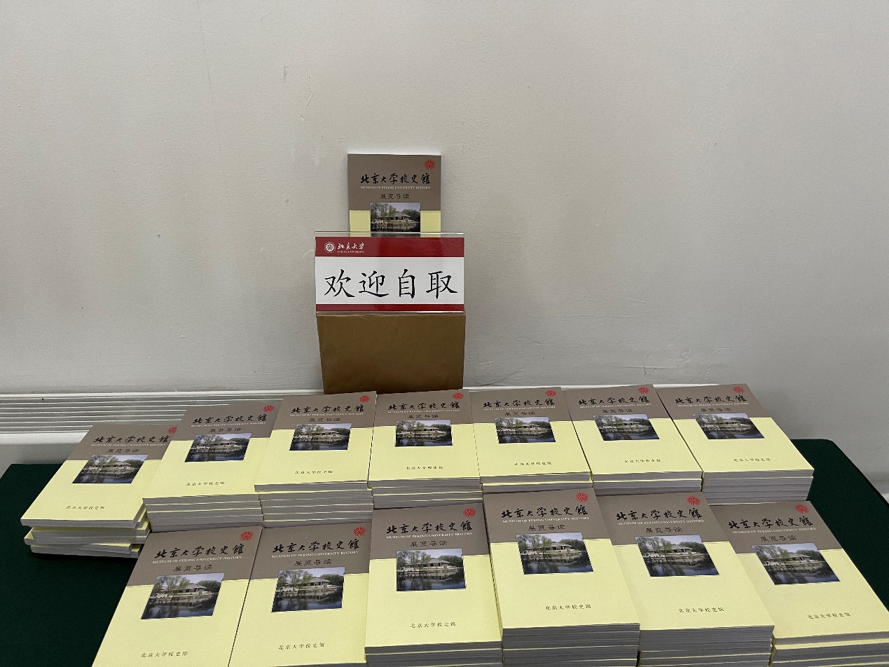 image13.jpeg