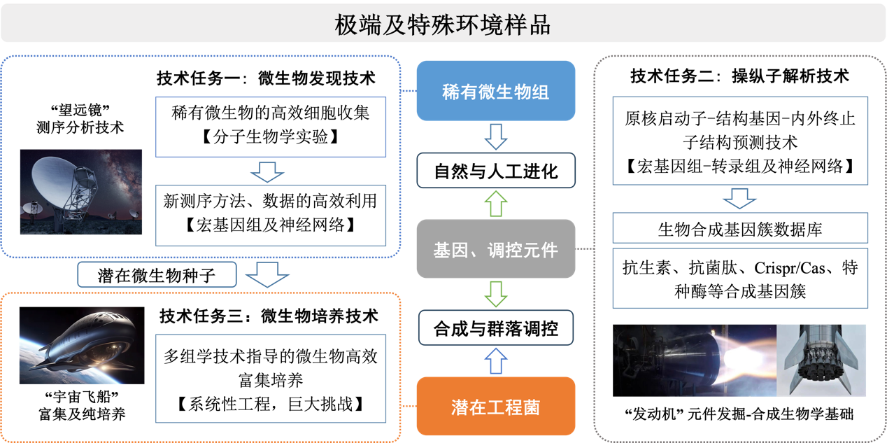 image5.png