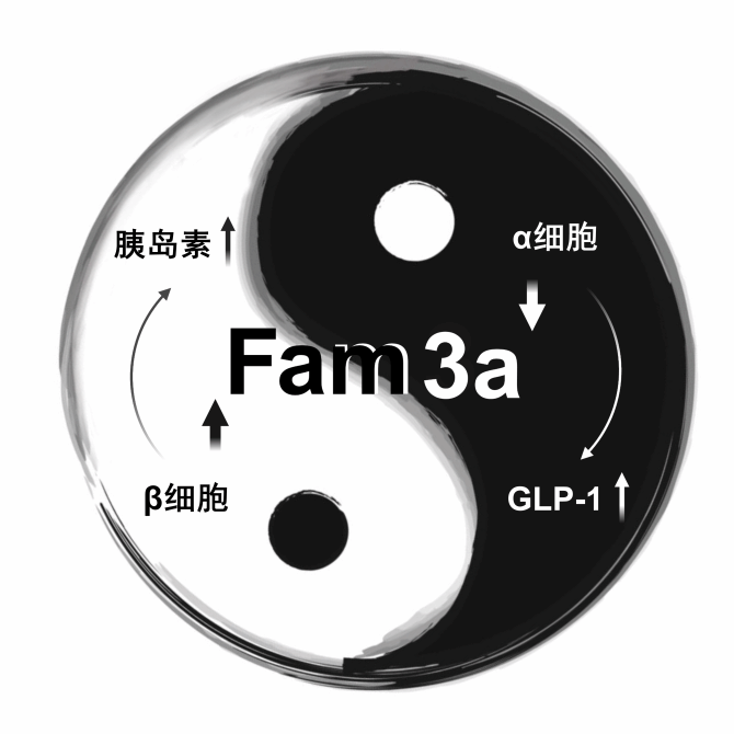 image3.png