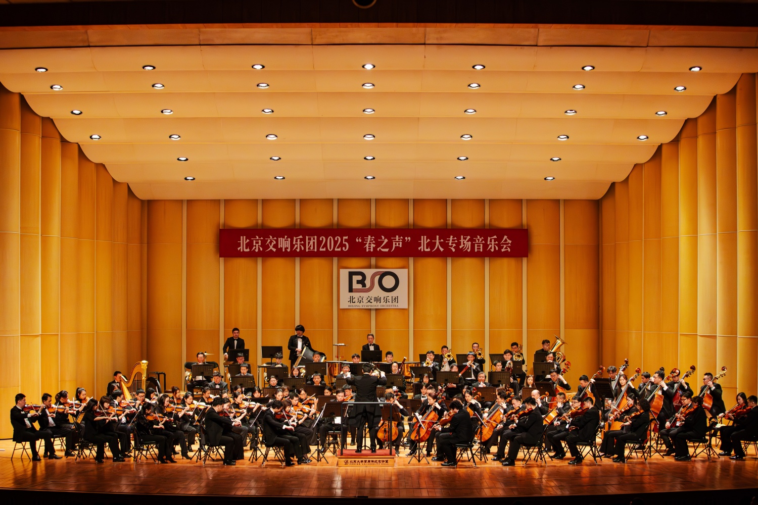 IMG_5004北京交响乐团在讲堂奏响2025“春之声”北大专场音乐会摄影@尚士博.jpg