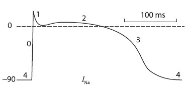 cba7ff74259c4d15969263bbd76ebefd.jpg 640.jpg