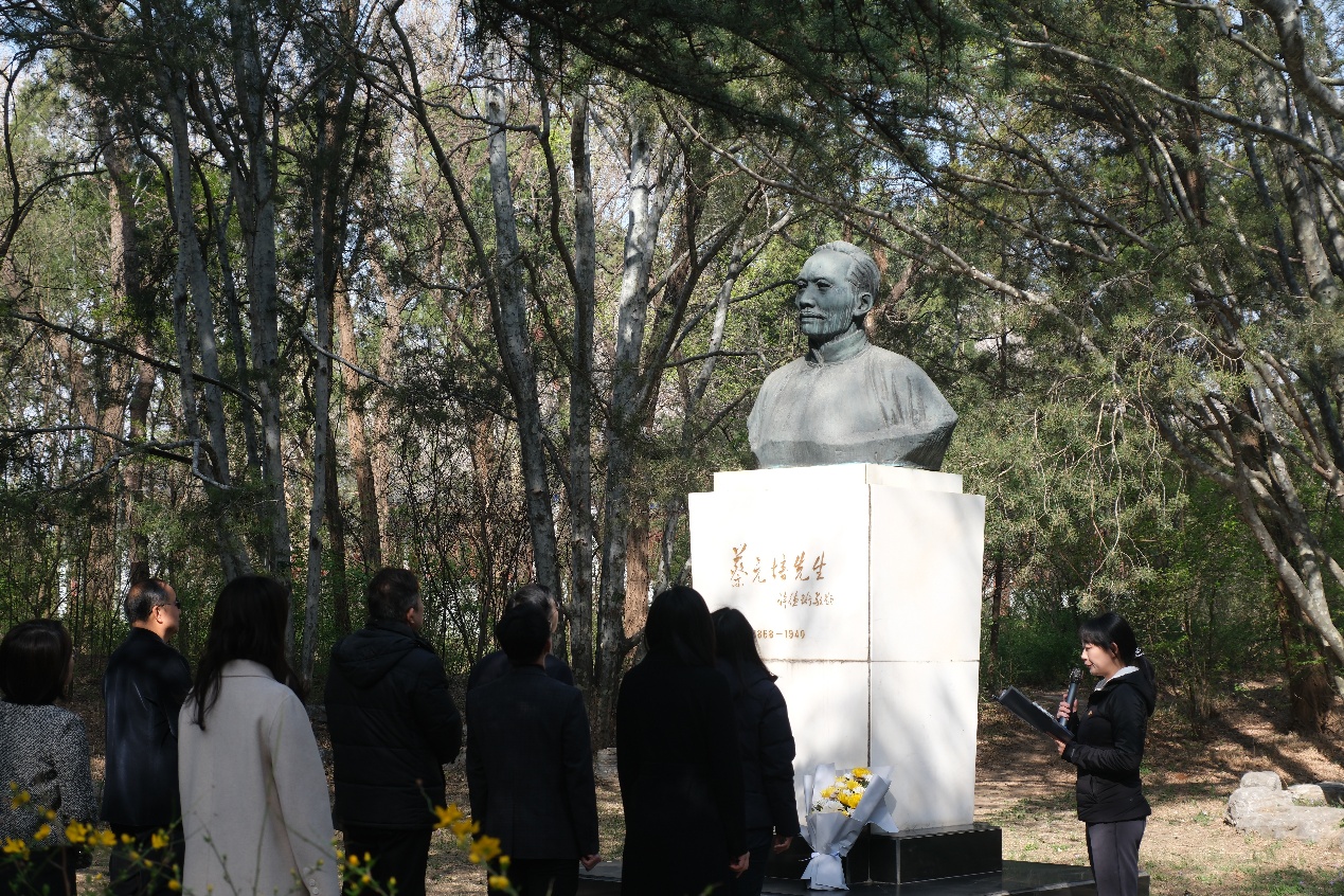 image4.jpeg