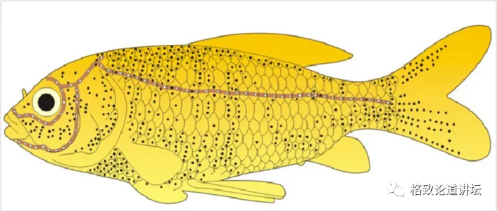 a2adcf94d0d443d6aea9450d18d08b37.jpg a2adcf94d0d443d6aea9450d18d08b37.jpg