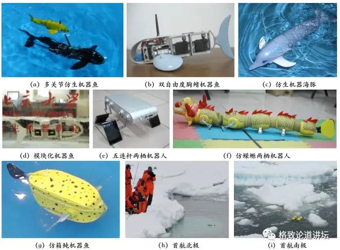6e6ef8789f3140a69c522f5d1db055ae.jpg 6e6ef8789f3140a69c522f5d1db055ae.jpg