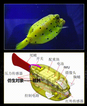 713c7e7b528d4c069c410b5e16a1cfae.gif 713c7e7b528d4c069c410b5e16a1cfae.gif
