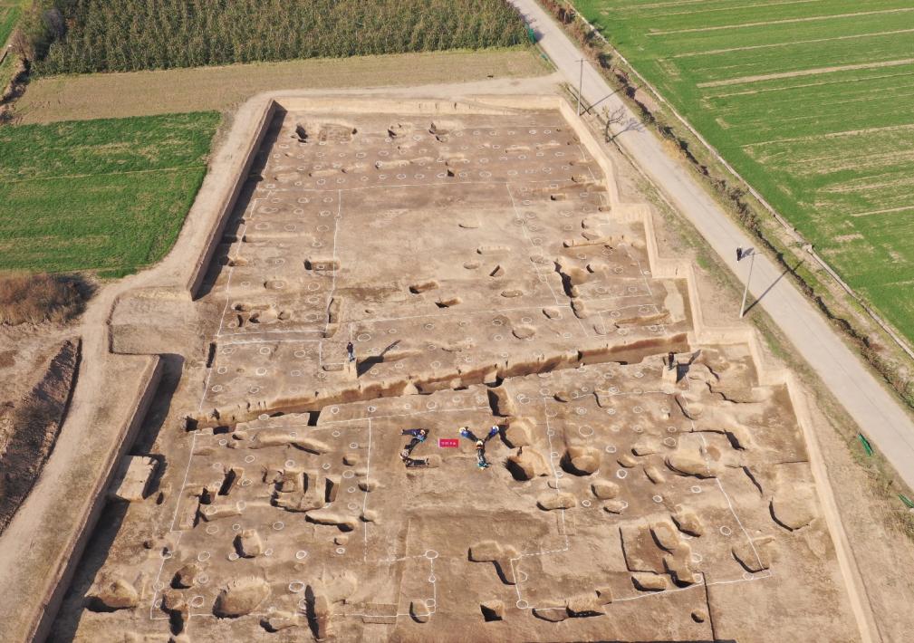 image1.jpeg