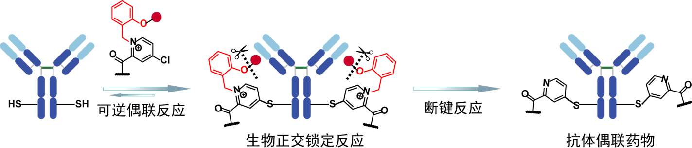 image1.png