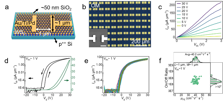 image4.png