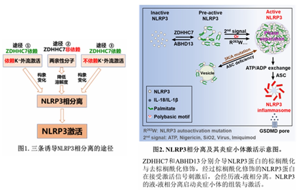 d59ced23b96e4c078fa8adbc0ee97b85.jpg d59ced23b96e4c078fa8adbc0ee97b85.jpg