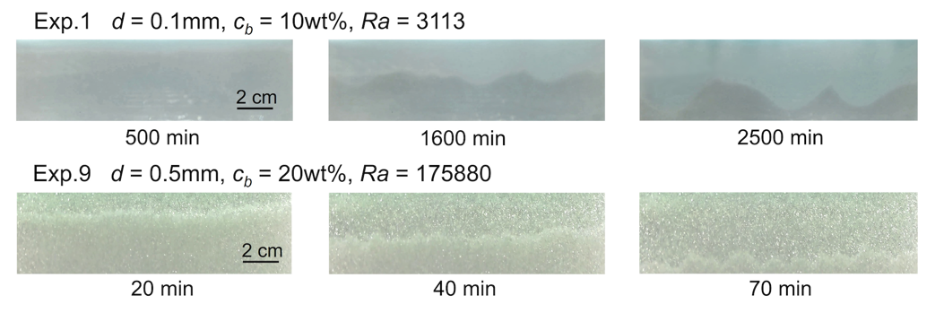 image1.png