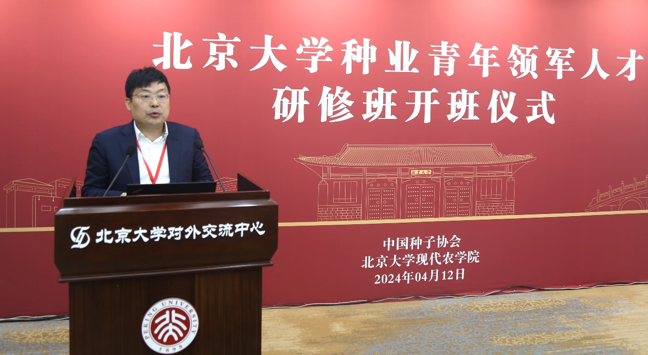 image5.jpeg