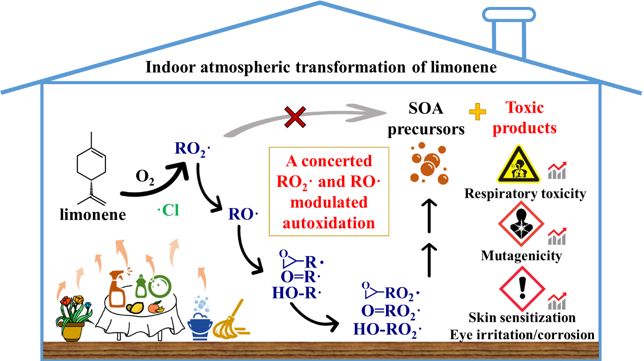 image2.png